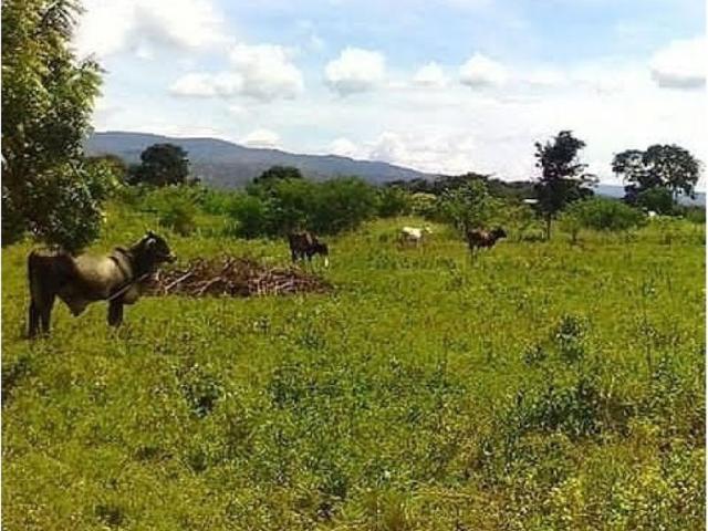 Terreno en venta en Palavecino, Lara