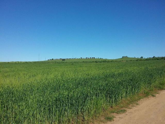 Terreno en venta en Tierra de Barros, Extremadura