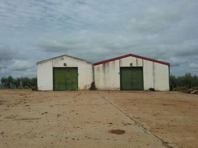 Terreno en venta en Zafra - Río Bodión, Extremadura