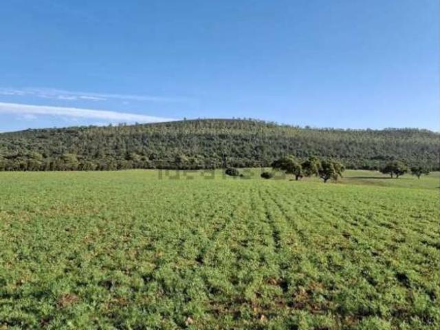 Terreno en venta en Mérida, Badajoz