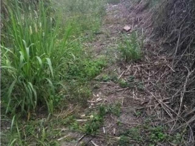 Terreno en venta en Carrizal, Miranda