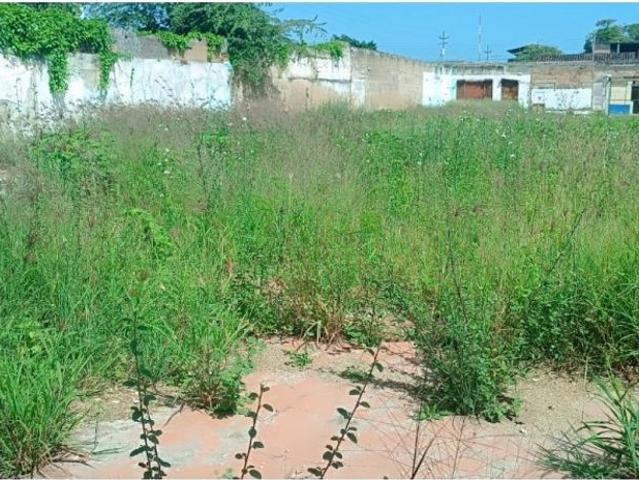 Terreno en venta en Carúpano, Sucre