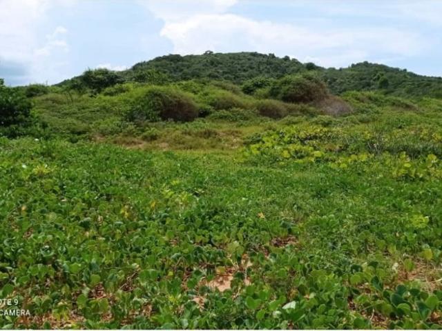 Terreno en venta en Carúpano, Sucre