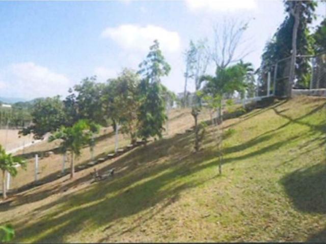 Cortijo de alto standing en venta Chepo, Provincia de Panamá