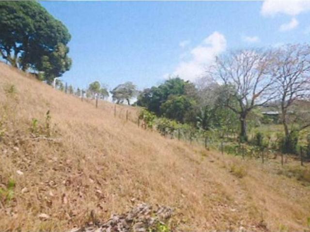 Cortijo de alto standing en venta Chepo, Provincia de Panamá