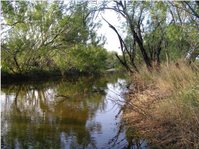 Terreno en venta en Sabinas Hidalgo, Nuevo León