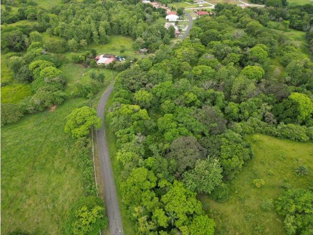 Terreno venta en David