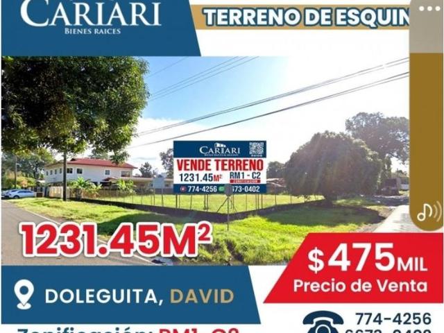 Terreno venta en David
