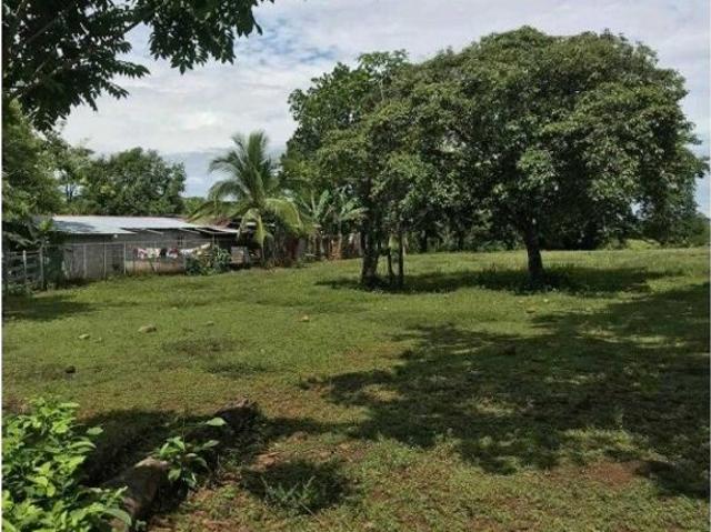 Terreno venta en David