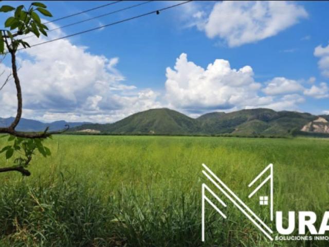 Lote en venta en Flandes, Centro