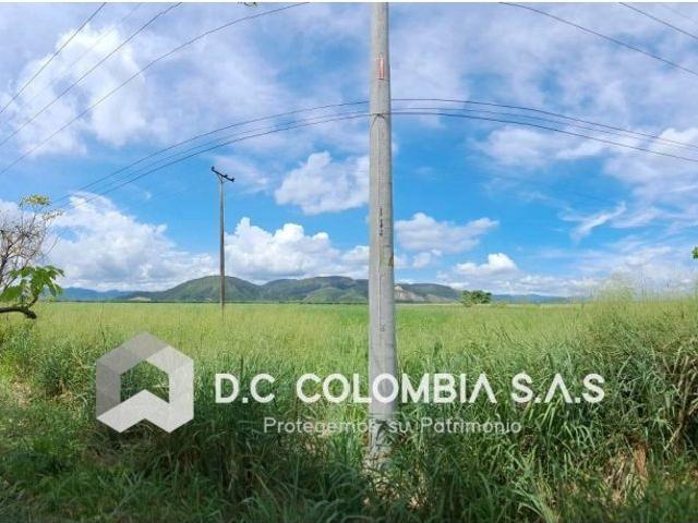 Lote en venta en Tolima