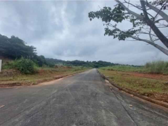 Terreno / Solar de 100000 m2 Pedregal, Panamá