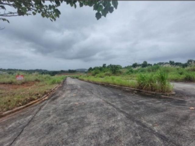 Terreno / Solar de 100000 m2 Pedregal, Panamá