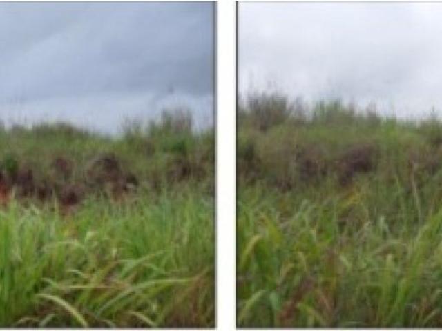 Terreno / Solar de 100000 m2 Pedregal, Panamá