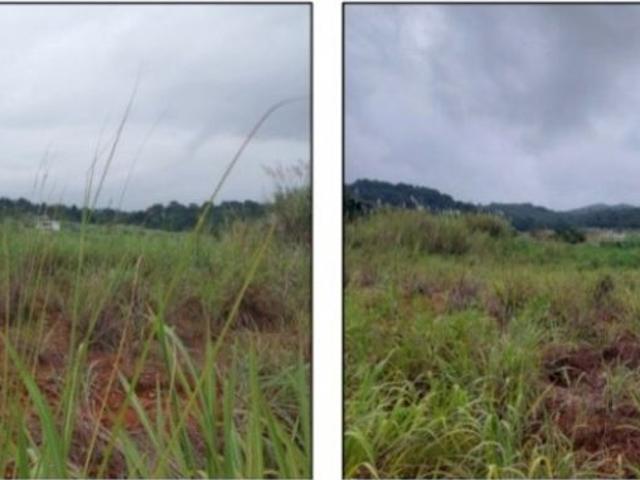 Terreno / Solar de 100000 m2 Pedregal, Panamá