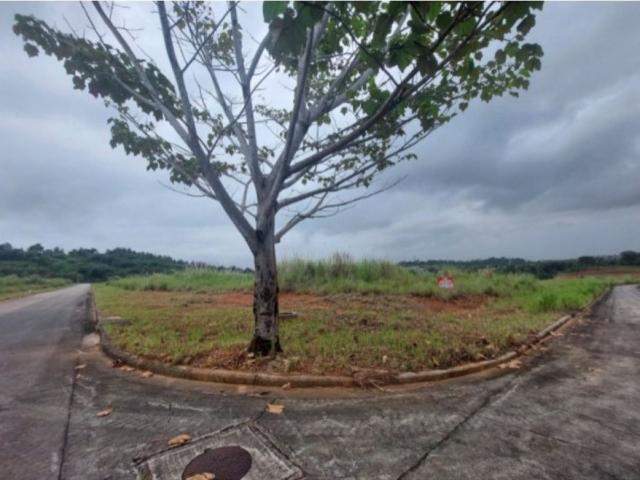 Terreno / Solar de 100000 m2 Pedregal, Panamá