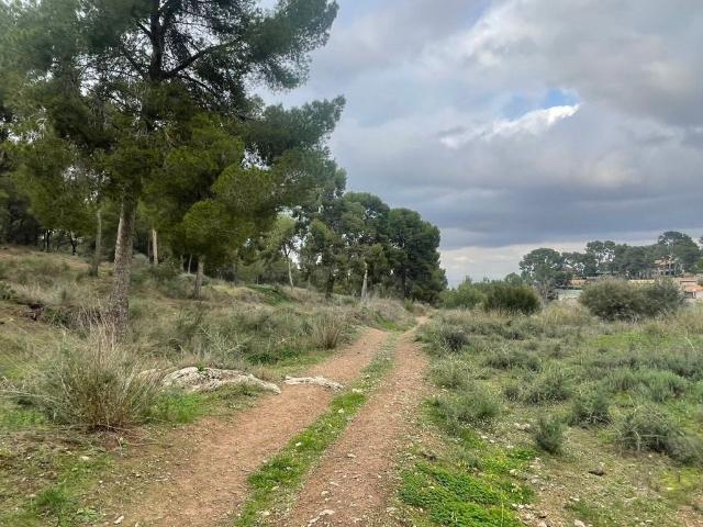 Terreno en venta en La Alberca, Área Metropolitana de Murcia