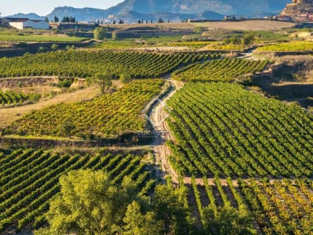 Terreno en venta en Arabako Errioxa, Guipúzcoa