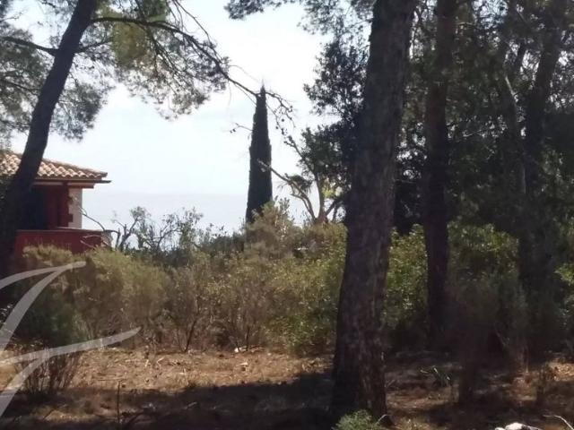 Terreno en venta en Calvià, Serra de Tramuntana