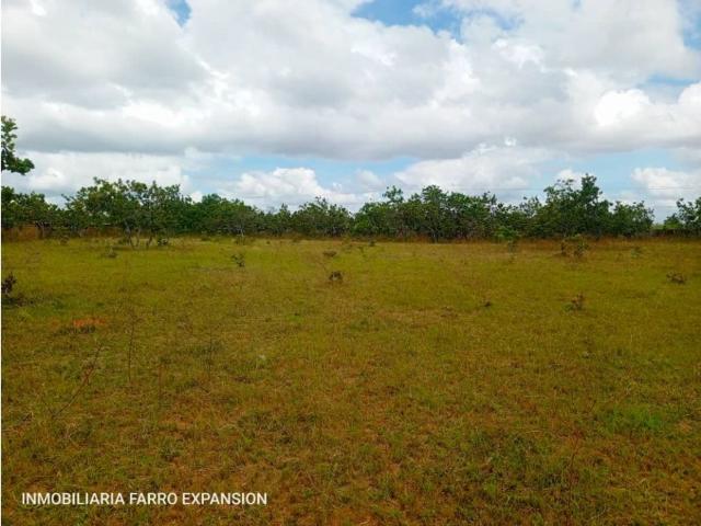 Terreno en venta en El Tigre, Amazonas