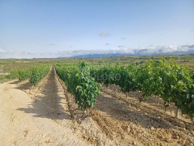 Terreno en venta en Arabako Errioxa, Guipúzcoa