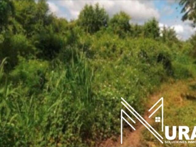 Lote en venta en Magdalena