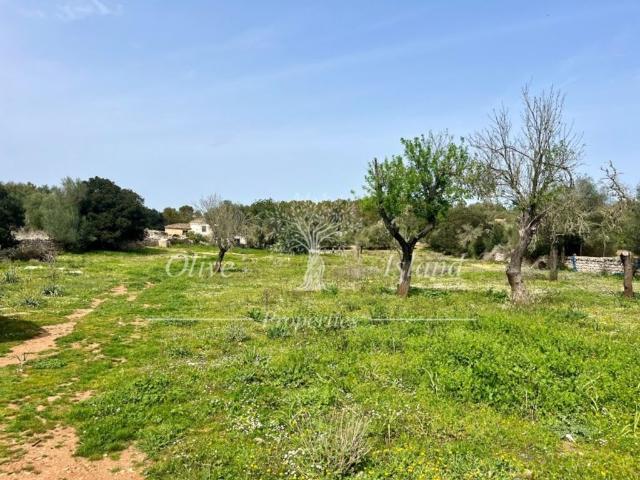 Terreno en venta en Pina, Pla de Mallorca