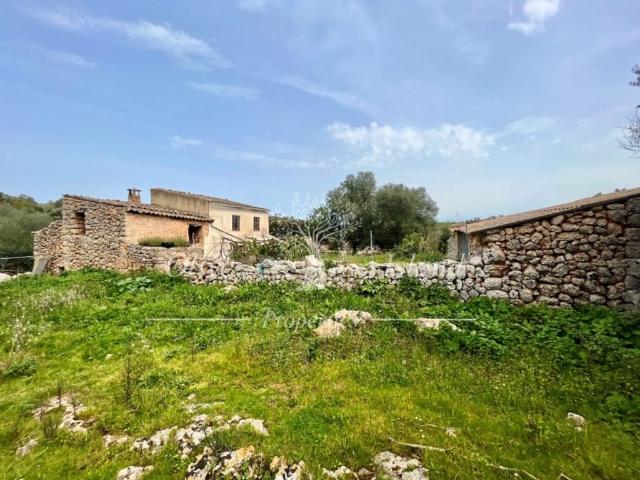 Terreno en venta en Pina, Pla de Mallorca