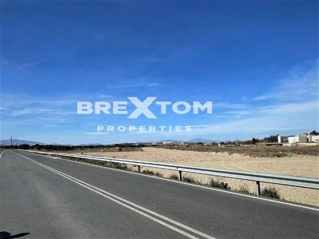 Terreno en venta en Alcantarilla