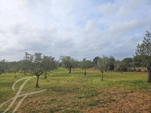 Terreno en venta en Baleares