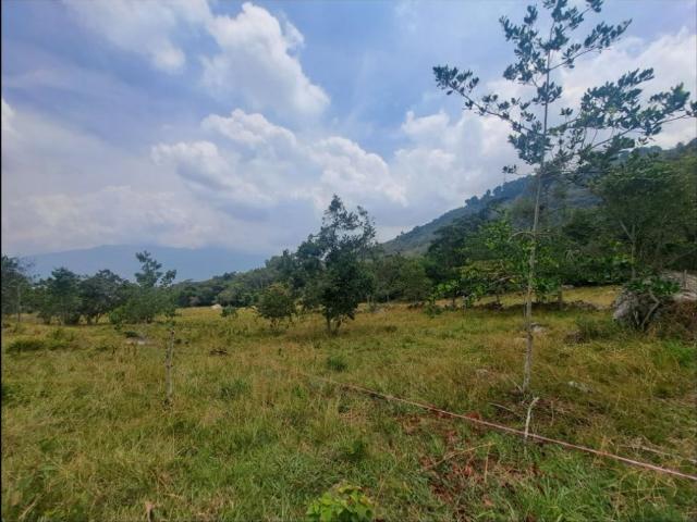 Terreno / Solar de 190000 m2 Fusagasugá, Cundinamarca