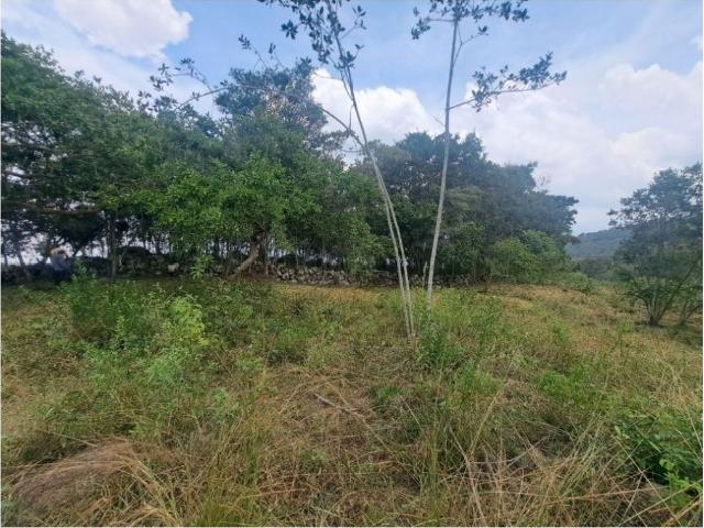 Terreno / Solar de 190000 m2 Fusagasugá, Cundinamarca