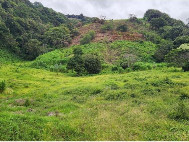 Terreno venta en Bajo Boquete, Boquete