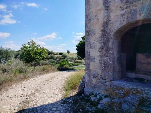 Terreno en venta en Son Coc, Palma