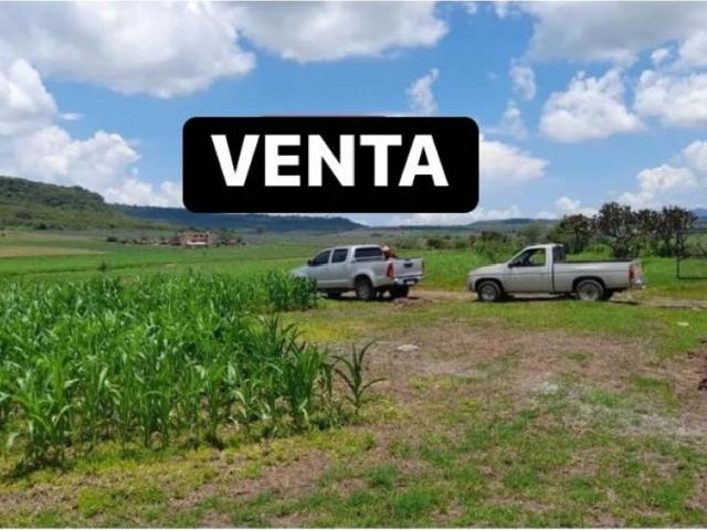 Terreno en venta en Tenamaxtlán, Jalisco