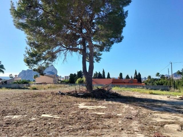 Terreno en venta en la Marina Alta, Valencia