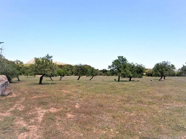 Terreno en venta en Llevant, Baleares