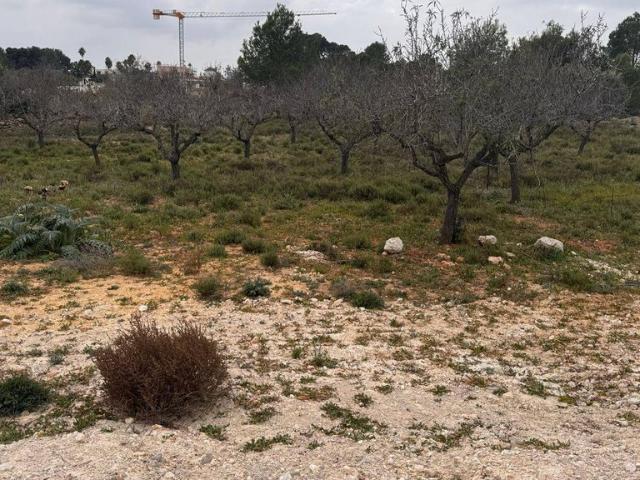 Terreno en venta en Mas Camarena, el Camp de Túria