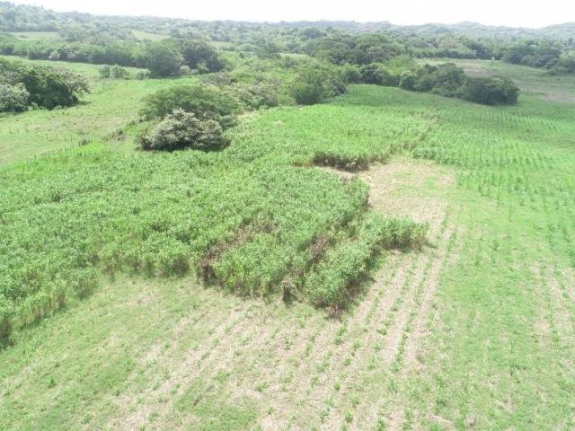Terreno venta en La Mesa
