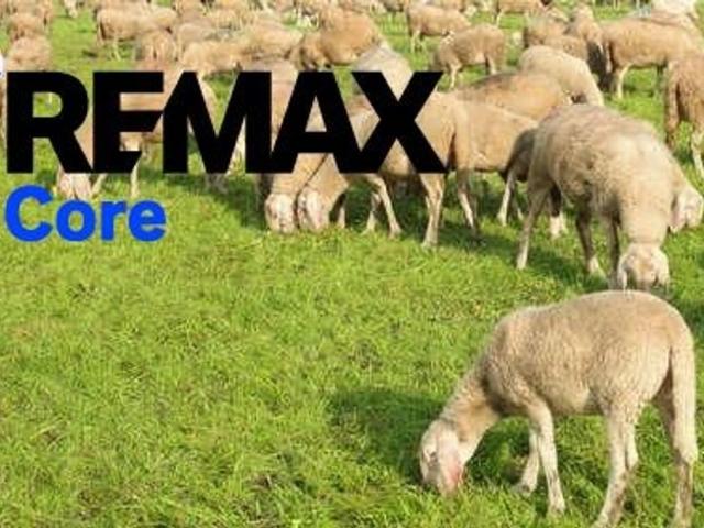 Terreno en venta en Alcollarín, Extremadura