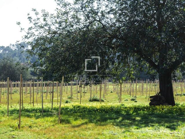 Terreno en venta en Alt Camp, Catalunya