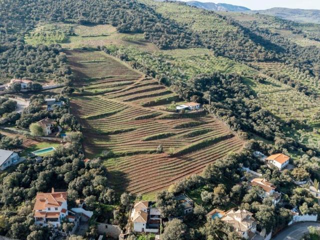 Terreno en venta en Dúdar, Aguas Blancas