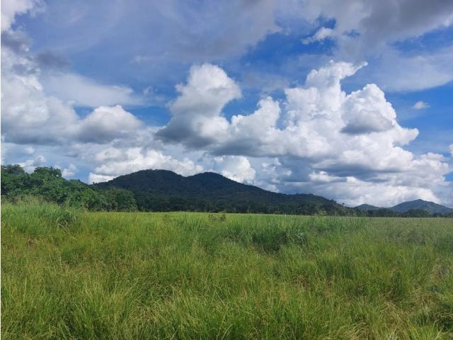 Terreno venta en Soná