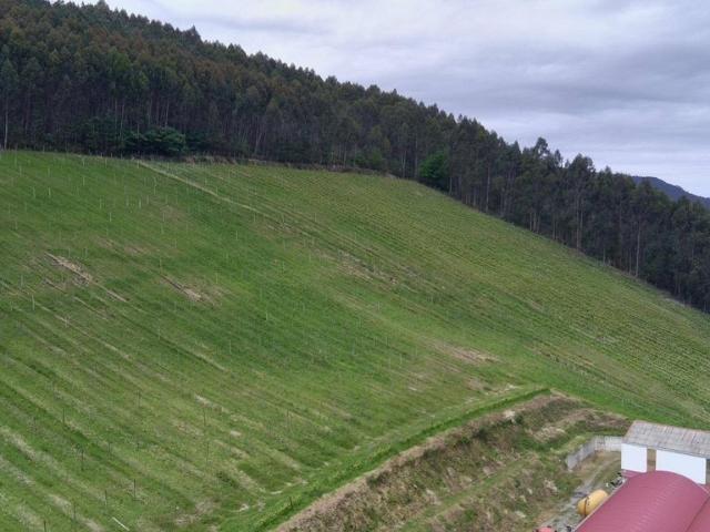 Terreno en venta en Mungia, Guipúzcoa