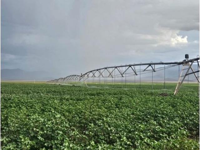 Terreno en venta en Nuevo Casas Grandes, Chihuahua