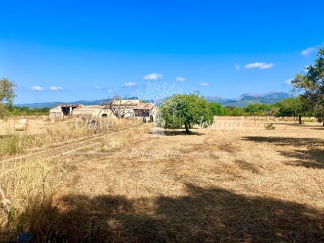 Terreno en venta en Raiguer, Baleares