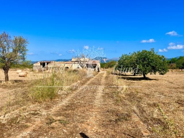 Terreno en venta en Crist Rei, Inca