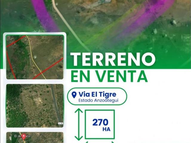 Terreno en venta en El Tigre, Amazonas