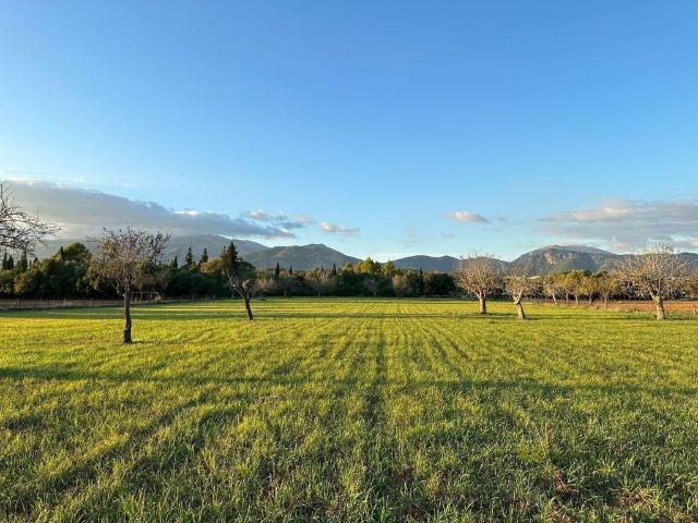 Terreno en venta en Raiguer, Baleares