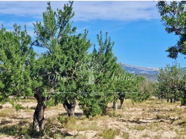 Terreno en venta en Hostals, Santa María Del Cami
